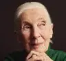Axel Echo 20 - Axel Echo – Imagen de acción ecológica Jane Goodal