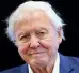 Axel Echo 21 - Axel Echo – Imagen de acción ecológica Señor David Attenborough